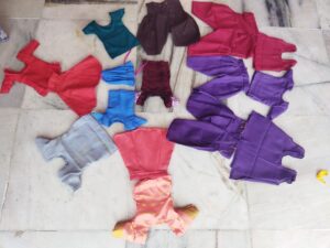 radha's ratna foundation (24)